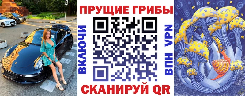 где продают наркотики это состав Галлюциногенные грибы GOLDEN TEACHER Майский